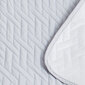 Belmarti Teflon veekindel voodipesu, 200x270, hall цена и информация | Voodikatted, pleedid | kaup24.ee