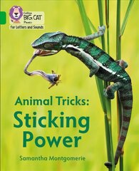 Animal Tricks: Sticking Power: Band 05/Green цена и информация | Книги для подростков и молодежи | kaup24.ee