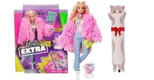 Nukk Barbie Mattel Extra ja kingipadi Cat, 50 cm цена и информация | Игрушки для девочек | kaup24.ee