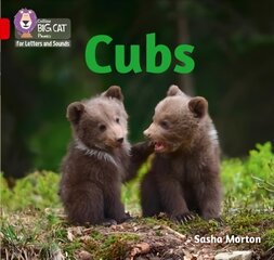 Cubs: Band 02a/Red a hind ja info | Noortekirjandus | kaup24.ee