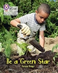 Be a Green Star: Phase 4 Set 2 hind ja info | Noortekirjandus | kaup24.ee