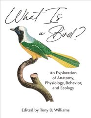 What Is a Bird?: An Exploration of Anatomy, Physiology, Behavior, and Ecology цена и информация | Книги по экономике | kaup24.ee