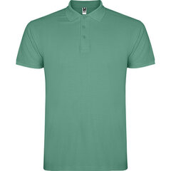 Футболка-поло для мужчин Star, зеленая цена и информация | Мужские футболки | kaup24.ee