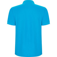 Футболка-поло для мужчин Pegaso Premium, голубая цена и информация | Мужские футболки | kaup24.ee