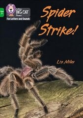 Spider Strike!: Band 05/Green hind ja info | Noortekirjandus | kaup24.ee