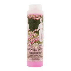 Dušigeel Garden In Bloom Nesti Dante, 300ml hind ja info | Dušigeelid, õlid | kaup24.ee