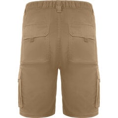 Lühikesed püksid meestele Vitara, pruun hind ja info | Meeste lühikesed püksid | kaup24.ee