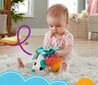 Pehme siil Fisher-Price hind ja info | Imikute mänguasjad | kaup24.ee