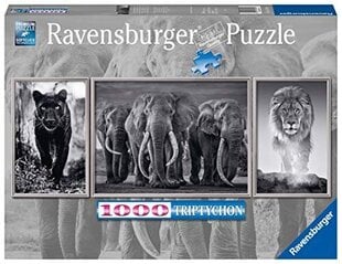 Пазл слон, лев Ravensburger, 1000 д. цена и информация | Пазлы | kaup24.ee