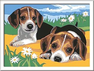 Равенсбургер Крерт Джек Рассел Puppy Paint By Numbers for Kids - покраска наборов по искусству и ремеслам в течение 7 лет. цена и информация | Живопись по номерам | kaup24.ee