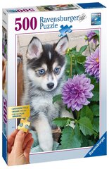 Pusle Ravensburger Husky kutsikaga, 13682, 500 tk hind ja info | Pusled | kaup24.ee