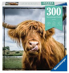 Пазл Ravensburger Highland крупного рогатого скота, 13273, 300 д. цена и информация | Пазлы | kaup24.ee