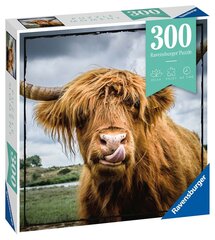 Пазл Ravensburger Highland крупного рогатого скота, 13273, 300 д. цена и информация | Пазлы | kaup24.ee