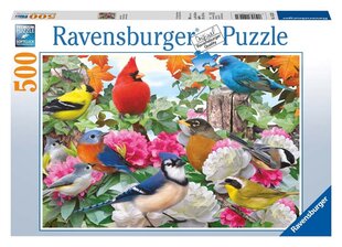 Pusle Ravensburger linnud 14223, 500 tk hind ja info | Pusled | kaup24.ee