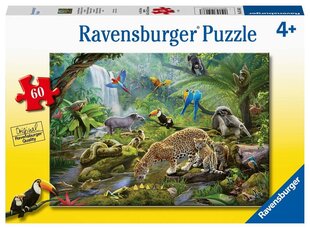 Pusle Ravensburger vihmametsa loomad, 5166, 60 tk цена и информация | Пазлы | kaup24.ee