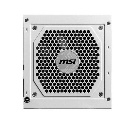 MSI MAG A850GL цена и информация | Toiteplokid (PSU) | kaup24.ee