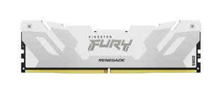 Kingston Fury Renegade цена и информация | Оперативная память (RAM) | kaup24.ee