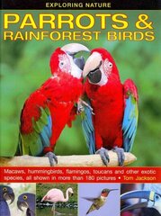 Exploring Nature: Parrots & Rainforest Birds hind ja info | Noortekirjandus | kaup24.ee