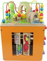 Puidust kuubik, Malowany Las hind ja info | Imikute mänguasjad | kaup24.ee