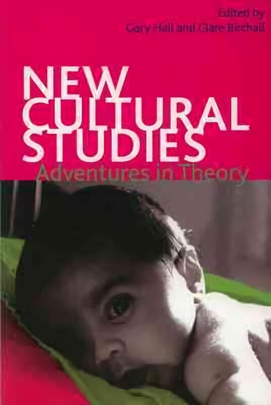 New Cultural Studies: Adventures in Theory hind ja info | Ühiskonnateemalised raamatud | kaup24.ee