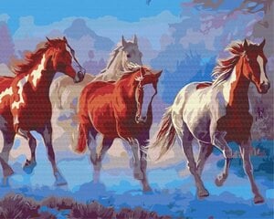 Картинка Раскрась! Рисование по номерам. Табун лошадей цена и информация | Живопись по номерам | kaup24.ee
