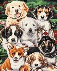 Картинка Раскрась! Рисование по номерам. Милые собаки цена и информация | Живопись по номерам | kaup24.ee