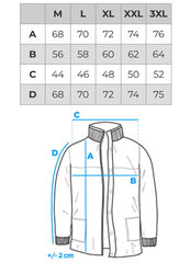 Зимняя куртка мужская Edoti C612 цена и информация | Мужские куртки | kaup24.ee