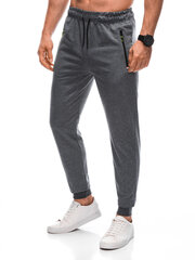 Спортивные брюки мужские P1412 - серые 123512-78 цена и информация | Мужская спортивная одежда | kaup24.ee