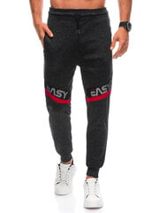 мужские спортивные штаны p1391 - темно-серые цена и информация | Мужская спортивная одежда | kaup24.ee