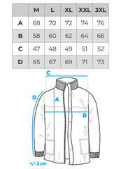 Зимняя куртка мужская Edoti C571 цена и информация | Мужские куртки | kaup24.ee
