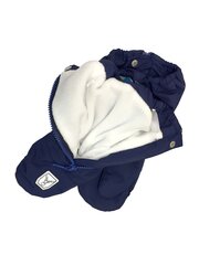 Kindad poistele Hofler, sinine цена и информация | Шапки, перчатки, шарфы для мальчиков | kaup24.ee