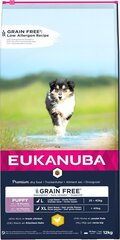 Eukanuba Puppy Grain Free L suurt tõugu kutsikatele, 12 kg цена и информация | Сухой корм для собак | kaup24.ee