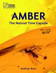 Amber: The Natural Time Capsule Revised edition цена и информация | Книги о питании и здоровом образе жизни | kaup24.ee