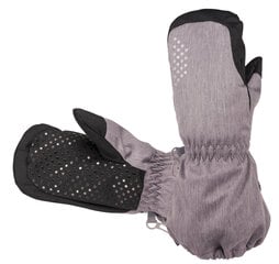 Hofler Зимние рукавички (полностью водонепроницаемые) цена и информация | Зимняя одежда для детей | kaup24.ee