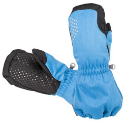 Зимние рукавички Hofler полностью водонепроницаемые цена и информация | Зимняя одежда для детей | kaup24.ee