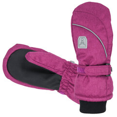 Зимние рукавички Hofler Primaloft, полностью водонепроницаемые цена и информация | Зимняя одежда для детей | kaup24.ee