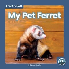 I Got a Pet! My Pet Ferret цена и информация | Книги для подростков и молодежи | kaup24.ee