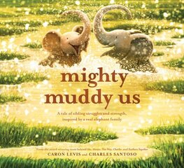 Mighty Muddy Us цена и информация | Книги для подростков и молодежи | kaup24.ee