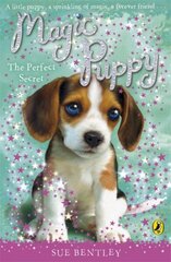 Magic Puppy: The Perfect Secret цена и информация | Книги для подростков и молодежи | kaup24.ee