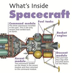 What's Inside?: Spacecraft hind ja info | Noortekirjandus | kaup24.ee