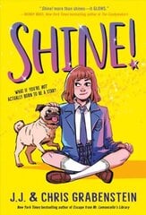 Shine! цена и информация | Книги для подростков и молодежи | kaup24.ee