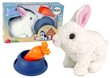 Interaktiivne jänes koos tarvikutega Lean Toys hind ja info | Imikute mänguasjad | kaup24.ee