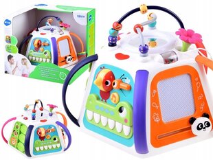 Interaktiivne arendav mängukuubik Hola hind ja info | Imikute mänguasjad | kaup24.ee