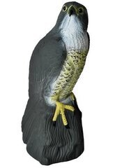 Отпугиватель птиц Cокол цена и информация | Детали интерьера | kaup24.ee