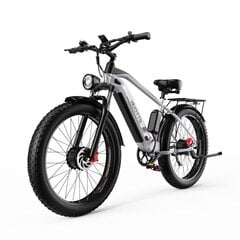 Elektrijalgratas Duotts F26, hall цена и информация | Электровелосипеды | kaup24.ee