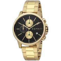 Мужские часы Esprit ES1G155M0085 цена и информация | Женские часы | kaup24.ee