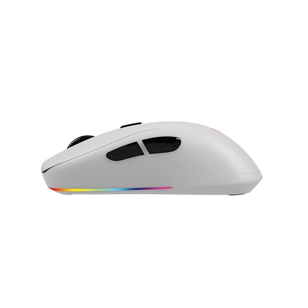 Savio Rift White RGB hind ja info | Hiired | kaup24.ee