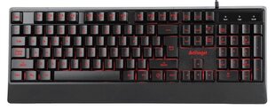 Activejet K-3255 цена и информация | Клавиатура с игровой мышью 3GO COMBODRILEW2 USB ES | kaup24.ee