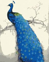 Maalimine numbrite järgi Symag Blue Peacock цена и информация | Живопись по номерам | kaup24.ee