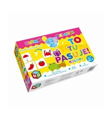 Värviline pusle цена и информация | Развивающие игрушки и игры | kaup24.ee